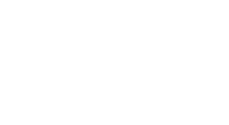 Piktiz