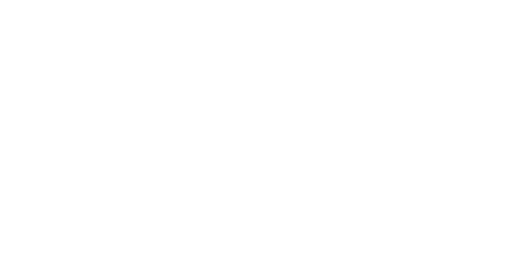 Megamark